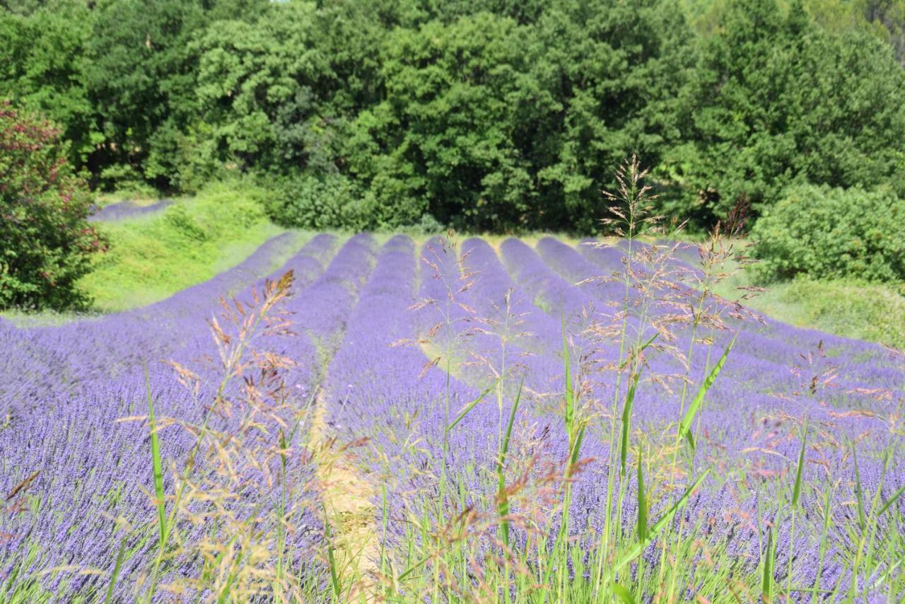 Gite Les Tilleuls Villa Saint-Montan Eksteriør billede